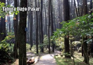 Tempat Relaksasi Asyik ada di Dago Pakar