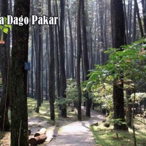 Tempat Relaksasi Asyik ada di Dago Pakar