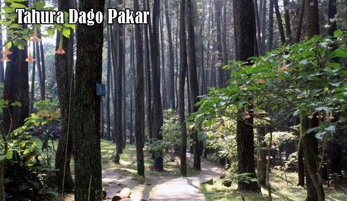 Tempat Relaksasi Asyik ada di Dago Pakar
