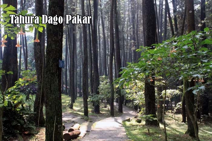 Tempat Relaksasi Asyik ada di Dago Pakar