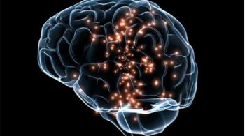 Inisiatif Otak dan Implan Otak