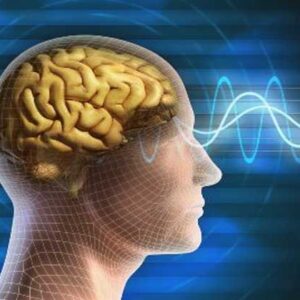 Temuan Baru tentang Memori Otak