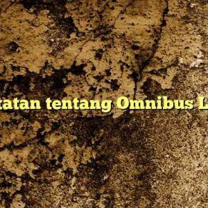 Catatan tentang Omnibus Law