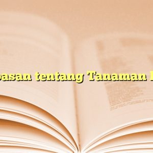 Kupasan tentang Tanaman Hias